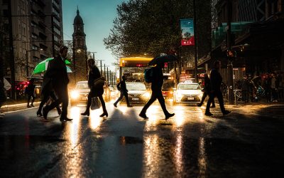Cars and Pedestrians – Potential for Disaster